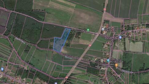 Do sprzedania działka 2,33 ha w Kuźniczysku powiat Trzebnicki